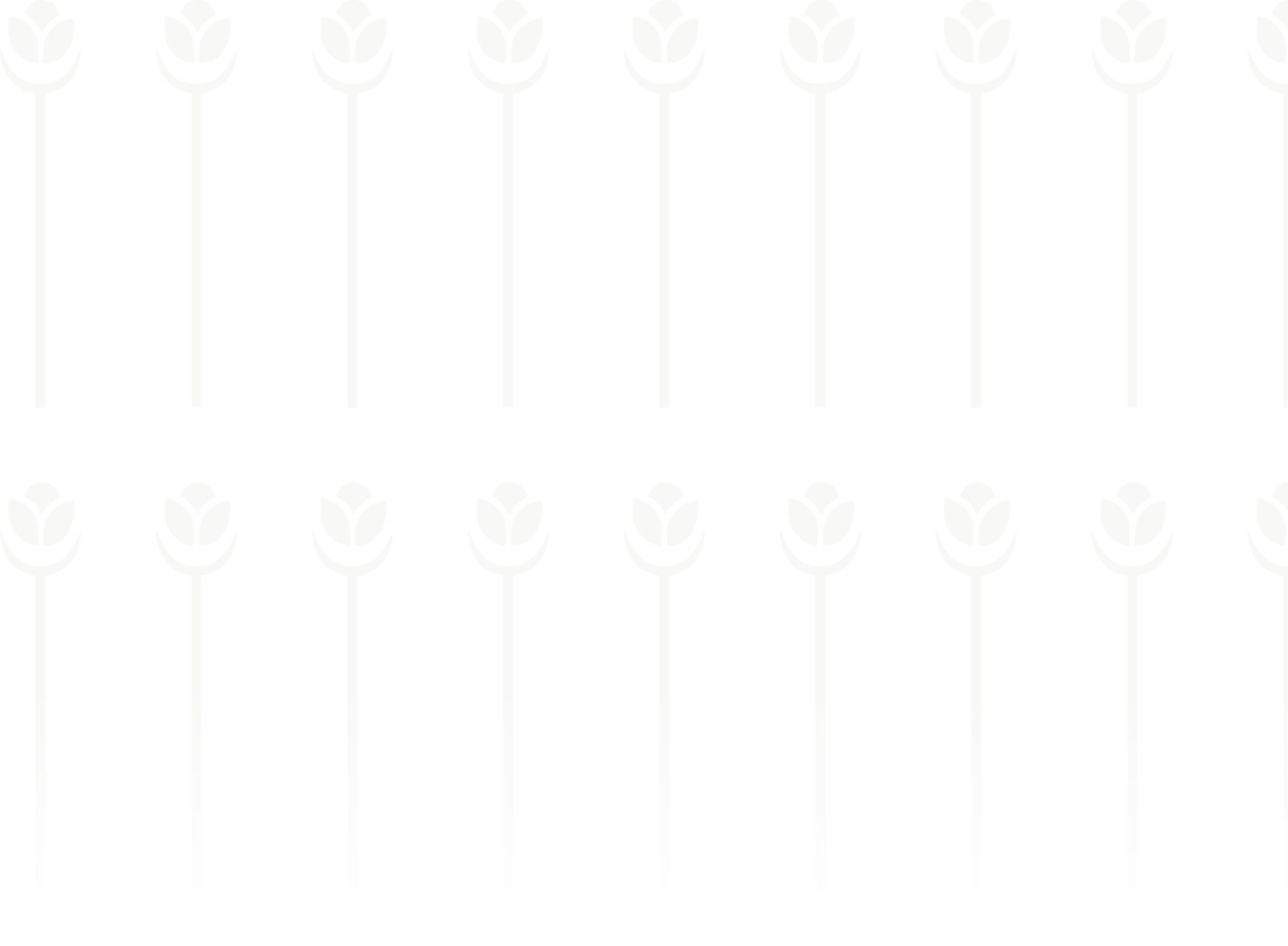 Pattern of stylized flowers on a light background.